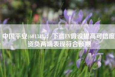 中国平安(601318)：下调EV假设提高可信度 资负两端表现符合预期