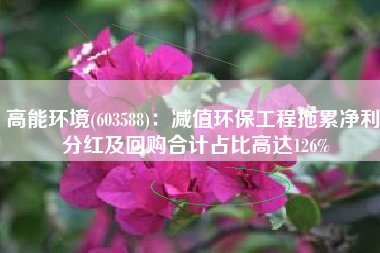 高能环境(603588)：减值环保工程拖累净利 分红及回购合计占比高达126%