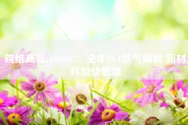 皖维高新(600063)：全年PVA景气偏弱 新材料加快放量