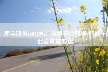 星宇股份(601799)：业绩符合预期 智能车配套有望加速