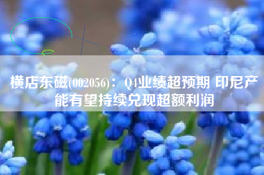 横店东磁(002056)：Q4业绩超预期 印尼产能有望持续兑现超额利润