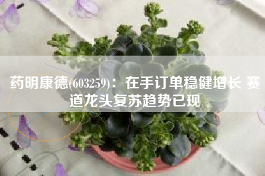 药明康德(603259)：在手订单稳健增长 赛道龙头复苏趋势已现