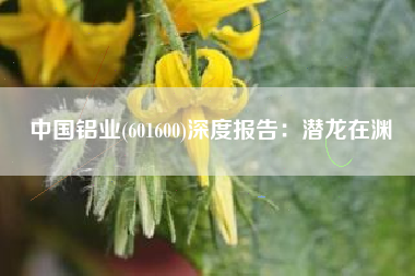 中国铝业(601600)深度报告：潜龙在渊