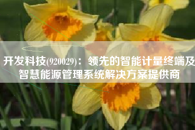 开发科技(920029)：领先的智能计量终端及智慧能源管理系统解决方案提供商