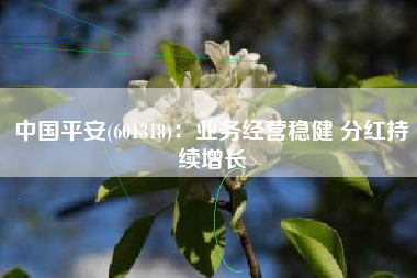 中国平安(601318)：业务经营稳健 分红持续增长