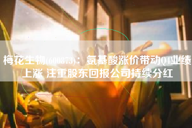 梅花生物(600873)：氨基酸涨价带动Q4业绩上涨 注重股东回报公司持续分红
