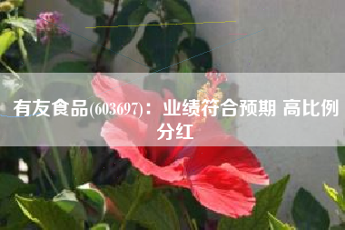 有友食品(603697)：业绩符合预期 高比例分红