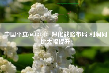 中国平安(601318)：深化战略布局 利润同比大幅提升