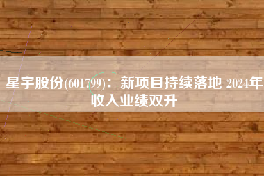 星宇股份(601799)：新项目持续落地 2024年收入业绩双升