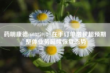 药明康德(603259)：在手订单增长超预期 整体业务延续恢复态势