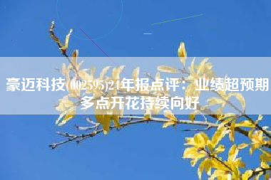 豪迈科技(002595)24年报点评：业绩超预期 多点开花持续向好