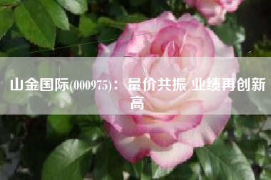 山金国际(000975)：量价共振 业绩再创新高