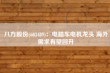 八方股份(603489)：电踏车电机龙头 海外需求有望回升