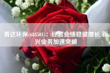 青达环保(688501)：经营业绩稳健增长 新兴业务加速突破