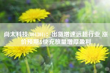 尚太科技(001301)：出货增速远超行业 涨价预期&快充放量增厚盈利