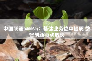 中国联通(600050)：基础业务稳中提质 数智创新驱动增长