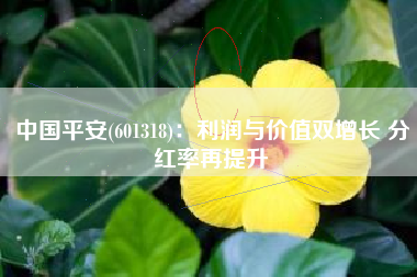 中国平安(601318)：利润与价值双增长 分红率再提升