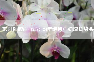 东阿阿胶(000423)：24年维持强劲增长势头