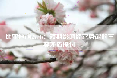 比亚迪(002594)：短期影响经营势能的主要矛盾探讨