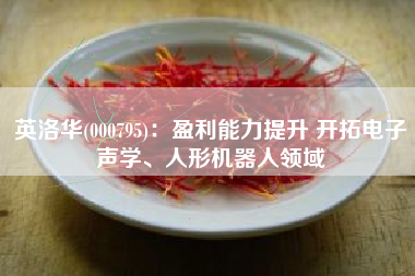英洛华(000795)：盈利能力提升 开拓电子声学、人形机器人领域