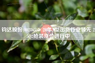 钧达股份(002865)：24年N型出货行业领先 25Q2抢装涨价进行中