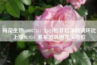 梅花生物(600873)：24Q4扣非后净利润环比上涨98.95% 多举措巩固龙头地位