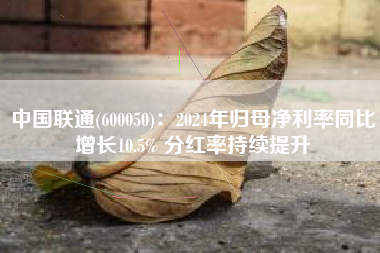中国联通(600050)：2024年归母净利率同比增长10.5% 分红率持续提升