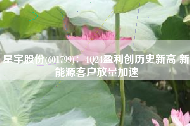 星宇股份(601799)：4Q24盈利创历史新高 新能源客户放量加速