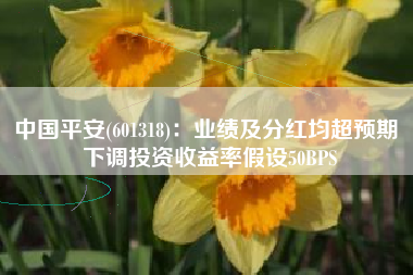 中国平安(601318)：业绩及分红均超预期 下调投资收益率假设50BPS