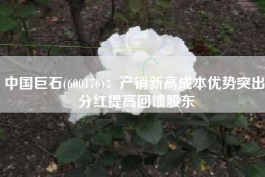 中国巨石(600176)：产销新高成本优势突出 分红提高回馈股东