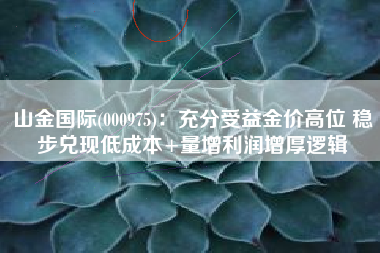 山金国际(000975)：充分受益金价高位 稳步兑现低成本+量增利润增厚逻辑