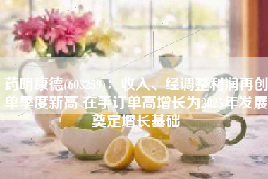药明康德(603259)：收入、经调整利润再创单季度新高 在手订单高增长为2025年发展奠定增长基础