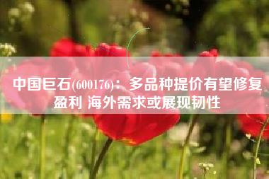 中国巨石(600176)：多品种提价有望修复盈利 海外需求或展现韧性