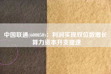 中国联通(600050)：利润实现双位数增长 算力资本开支提速
