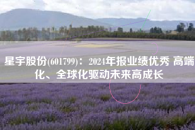 星宇股份(601799)：2024年报业绩优秀 高端化、全球化驱动未来高成长