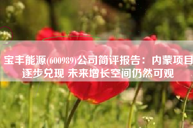 宝丰能源(600989)公司简评报告：内蒙项目逐步兑现 未来增长空间仍然可观
