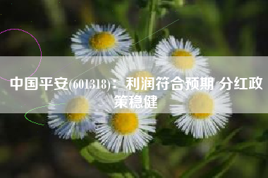 中国平安(601318)：利润符合预期 分红政策稳健
