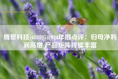 腾景科技(688195)2024年报点评：归母净利润高增 产品矩阵持续丰富