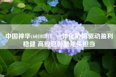 中国神华(601088)：一体化协同驱动盈利稳健 高股息彰显龙头担当