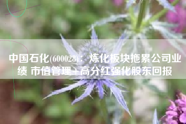 中国石化(600028)：炼化板块拖累公司业绩 市值管理+高分红强化股东回报