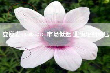 安道麦A(000553)：市场低迷 业绩短期承压