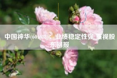 中国神华(601088)：业绩稳定性强 重视股东回报