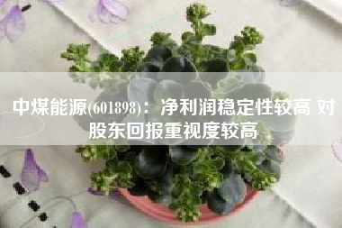 中煤能源(601898)：净利润稳定性较高 对股东回报重视度较高