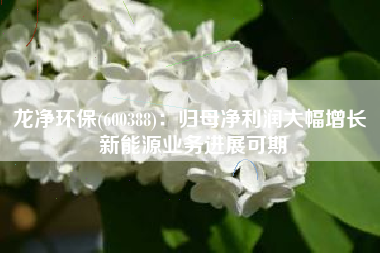 龙净环保(600388)：归母净利润大幅增长 新能源业务进展可期