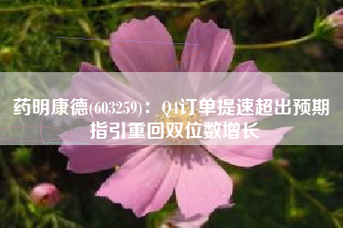 药明康德(603259)：Q4订单提速超出预期 指引重回双位数增长