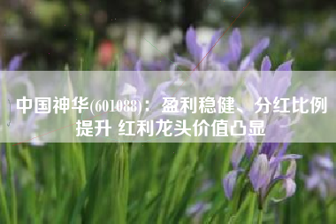 中国神华(601088)：盈利稳健、分红比例提升 红利龙头价值凸显