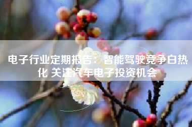 电子行业定期报告：智能驾驶竞争白热化 关注汽车电子投资机会