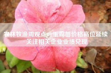 农林牧渔周观点：蛋鸡苗价格高位延续 关注相关企业业绩兑现