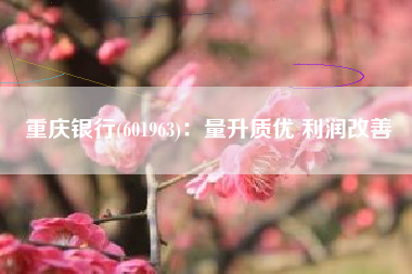 重庆银行(601963)：量升质优 利润改善