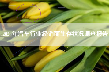 2024年汽车行业经销商生存状况调查报告